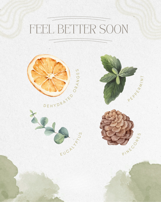 Feel Better Soon Simmer Pot | Orange Peppermint Eucalyptus