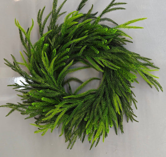 Norfolk Pine Wreath, 22"