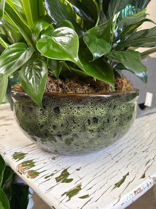 10” Dish Garden