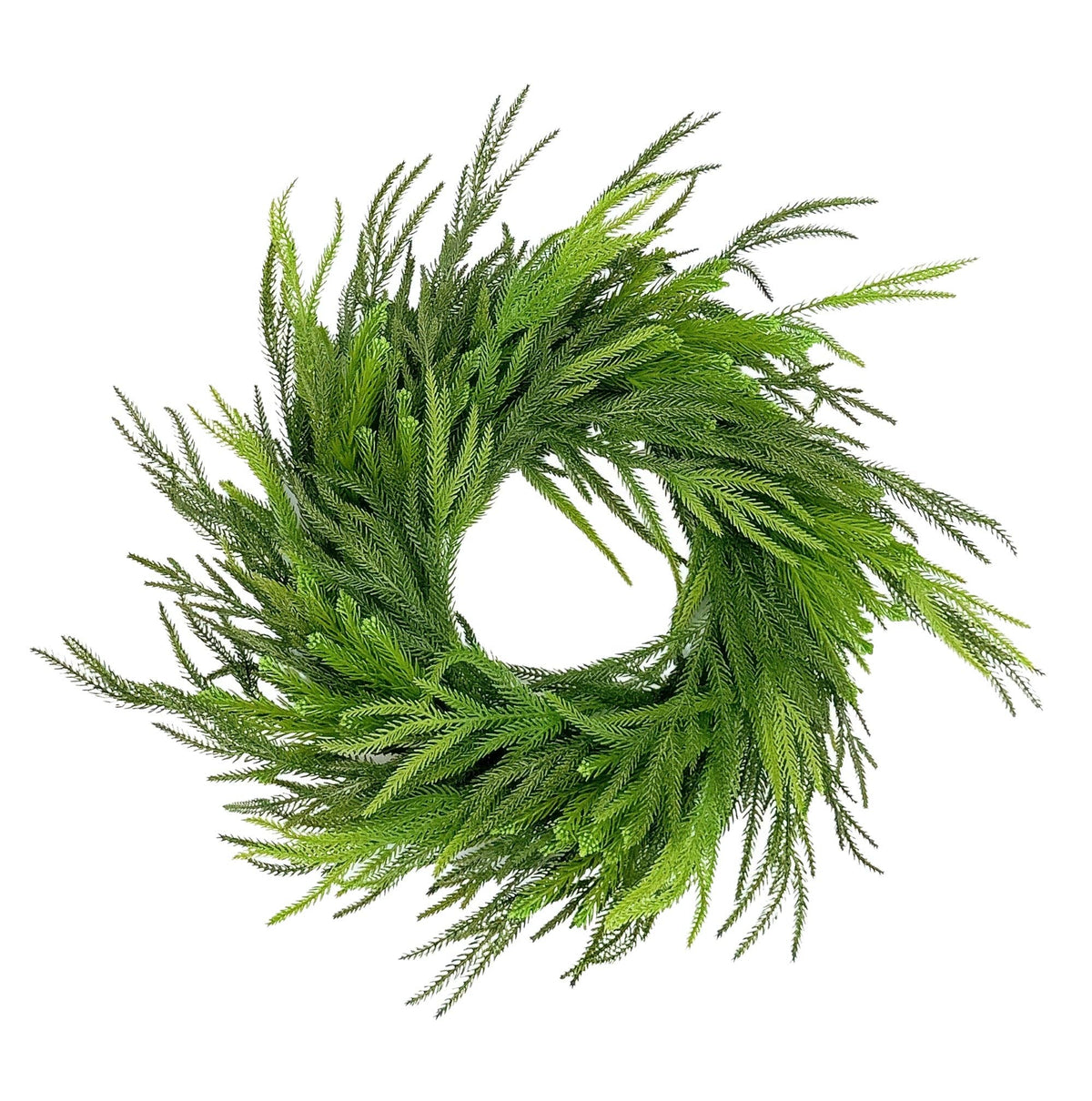 Norfolk Pine Wreath, 22"