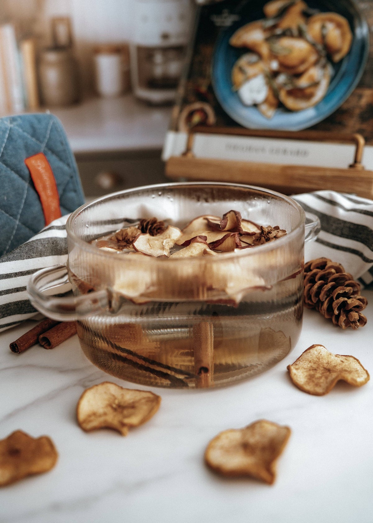 Sugar Cookie Simmer Pot | Apple Vanilla Cinnamon